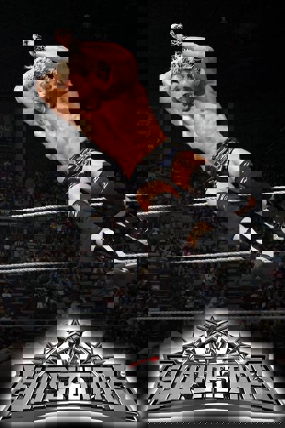 WWE Superstars poster