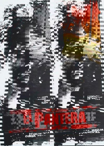 El Pantera poster