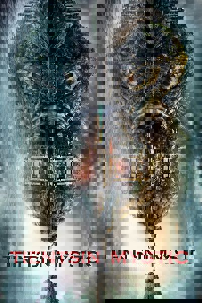 Tientsin Mystic poster