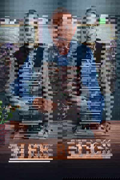 The Boss poster