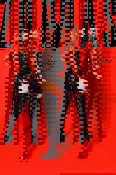 Zorras poster