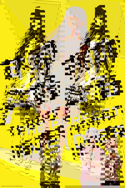 The Perfect Insider poster
