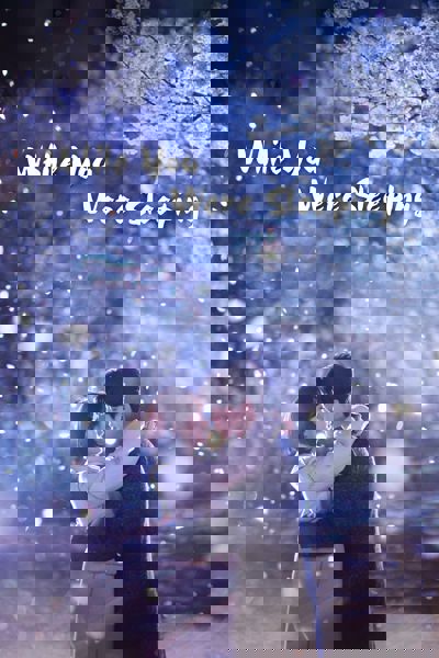 While You Were Sleeping poster