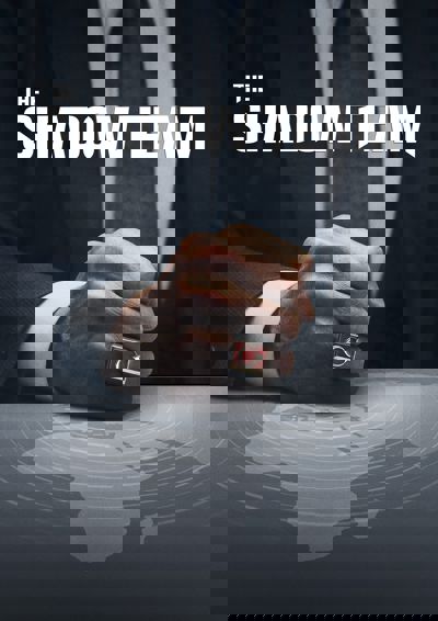The Shadow Team poster