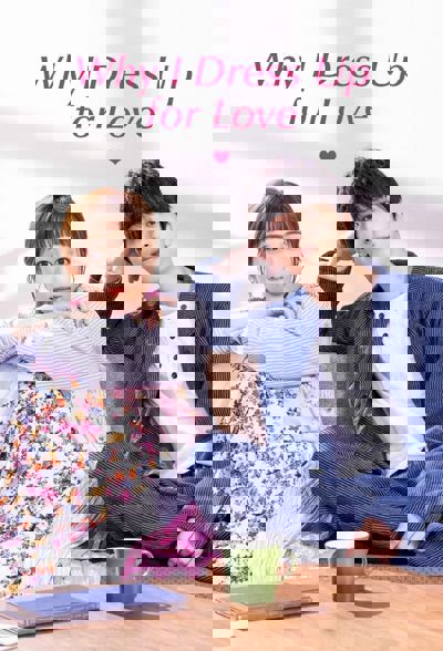 Why I Dress Up for Love poster