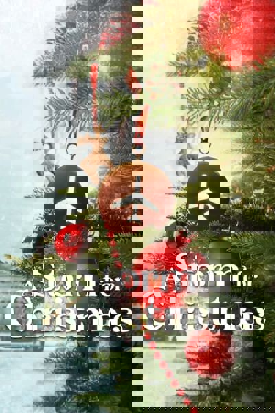 A Storm for Christmas poster