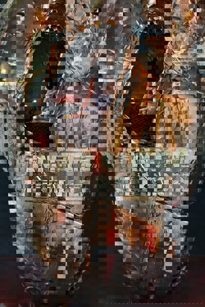 Hanging Mirrors poster