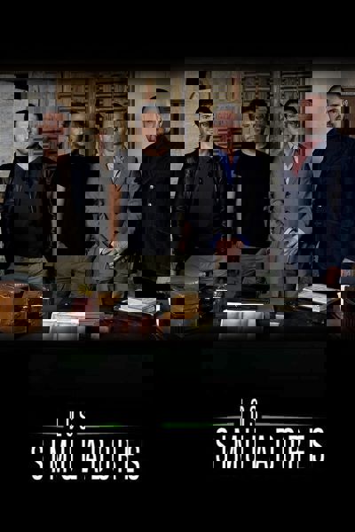 The Simulators poster