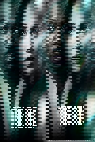 The Fix poster