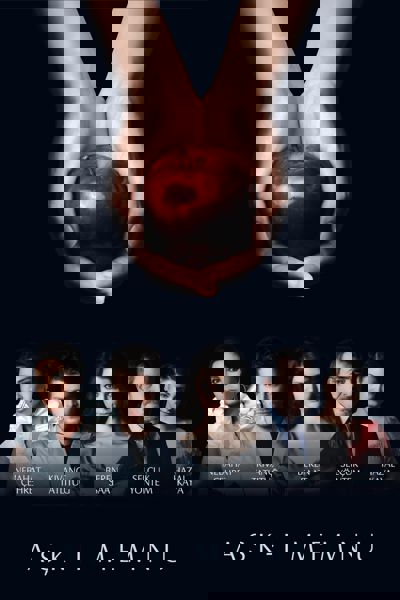 Forbidden Love poster
