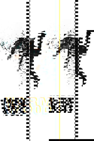 Wormwood poster