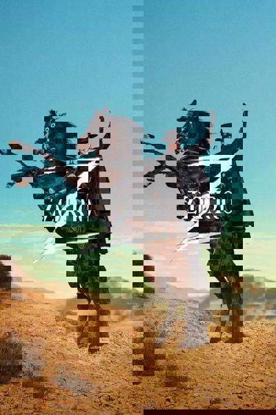 Zorro poster