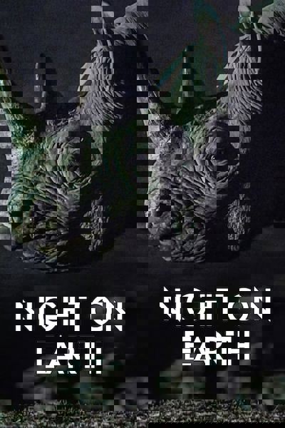 Night on Earth poster