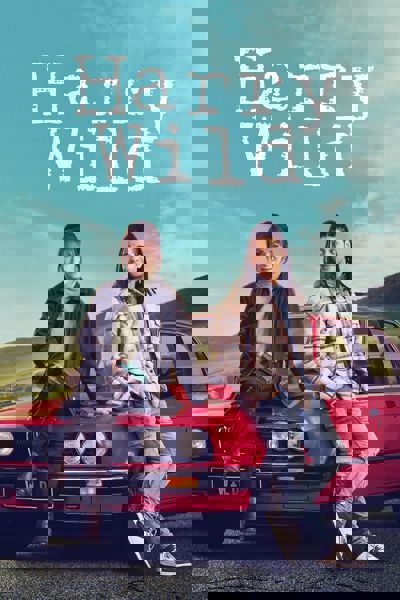 Harry Wild poster
