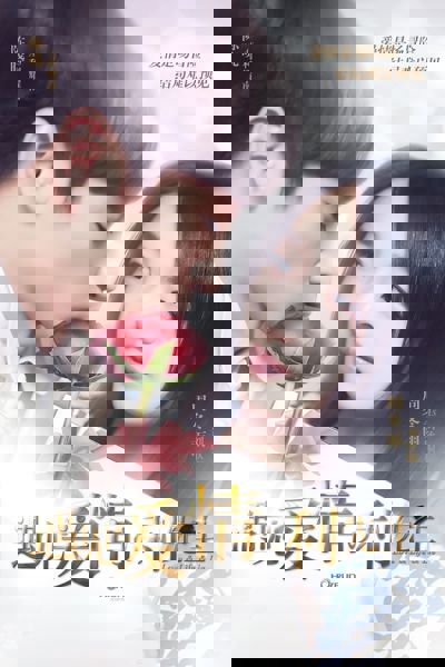Love & Life & Lie poster