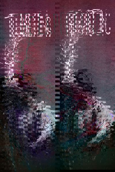 The Expecting poster