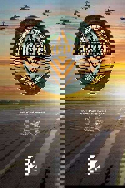 The Training poster