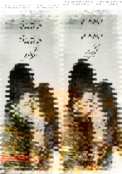 Black Money Love poster
